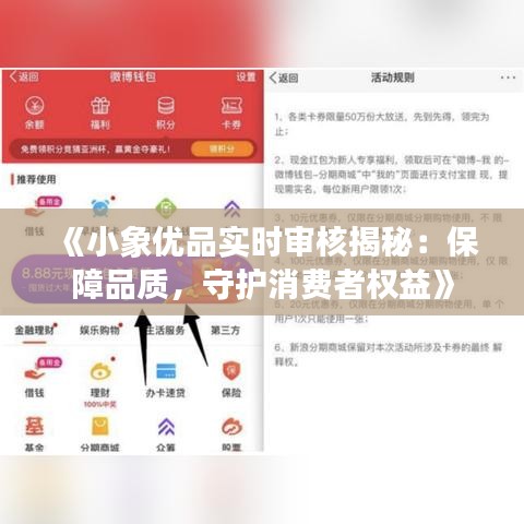 《小象優(yōu)品實(shí)時(shí)審核揭秘：保障品質(zhì)，守護(hù)消費(fèi)者權(quán)益》
