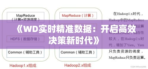 《WD實(shí)時(shí)精準(zhǔn)數(shù)據(jù)：開啟高效決策新時(shí)代》