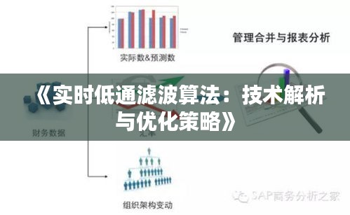 《實時低通濾波算法：技術(shù)解析與優(yōu)化策略》