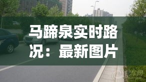 馬蹄泉實時路況：最新圖片呈現(xiàn)暢通與擁堵