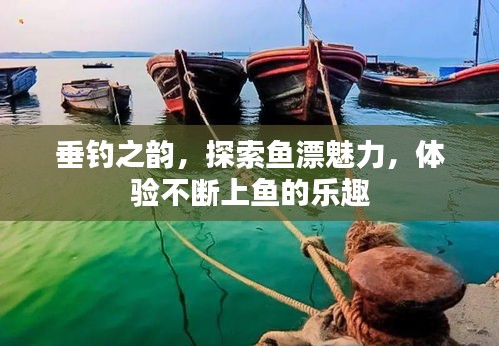 垂釣之韻，探索魚漂魅力，體驗(yàn)不斷上魚的樂趣