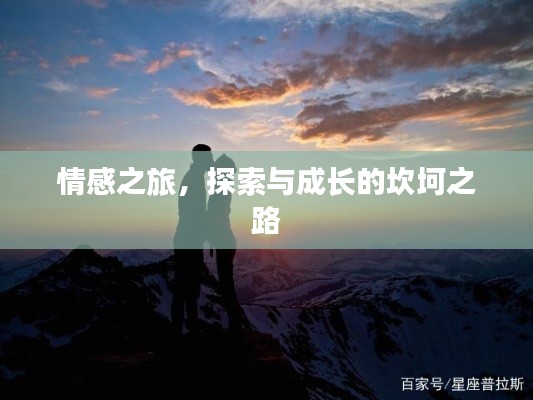 情感之旅，探索與成長的坎坷之路
