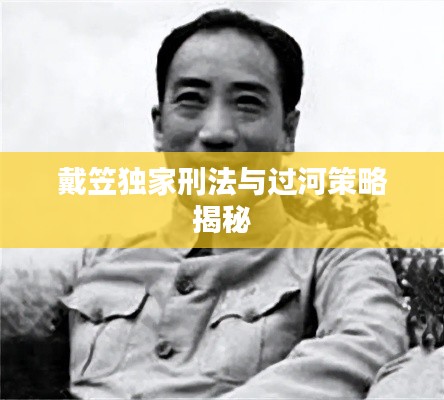戴笠獨(dú)家刑法與過(guò)河策略揭秘