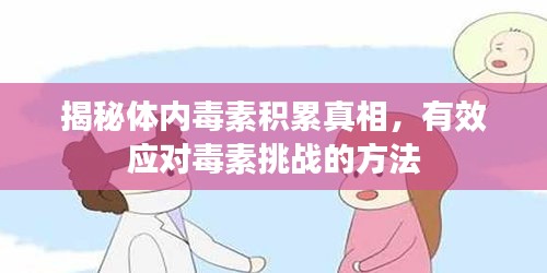揭秘體內(nèi)毒素積累真相，有效應(yīng)對毒素挑戰(zhàn)的方法