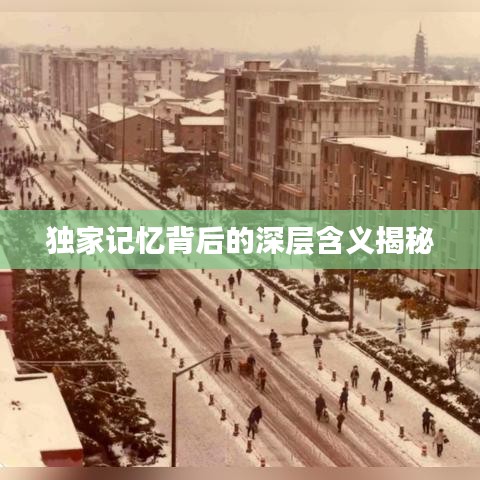 獨家記憶背后的深層含義揭秘