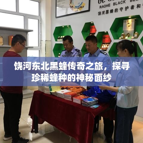 饒河?xùn)|北黑蜂傳奇之旅，探尋珍稀蜂種的神秘面紗