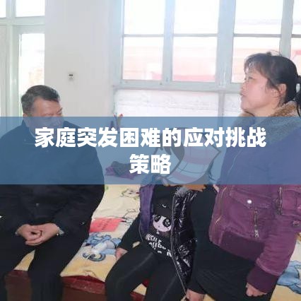 家庭突發(fā)困難的應對挑戰(zhàn)策略