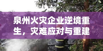 泉州火災(zāi)企業(yè)逆境重生，災(zāi)難應(yīng)對與重建希望之路