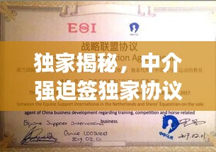 獨家揭秘，中介強(qiáng)迫簽獨家協(xié)議背后的真相與應(yīng)對策略！