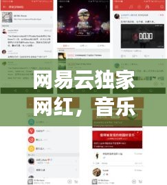網(wǎng)易云獨家網(wǎng)紅，音樂與社交的新紀元現(xiàn)象