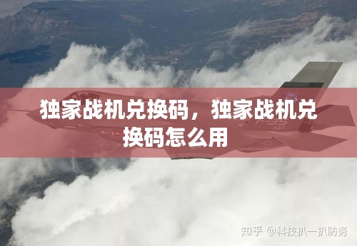 獨(dú)家戰(zhàn)機(jī)兌換碼，獨(dú)家戰(zhàn)機(jī)兌換碼怎么用 