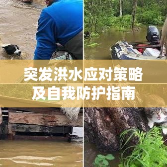 突發(fā)洪水應(yīng)對策略及自我防護指南