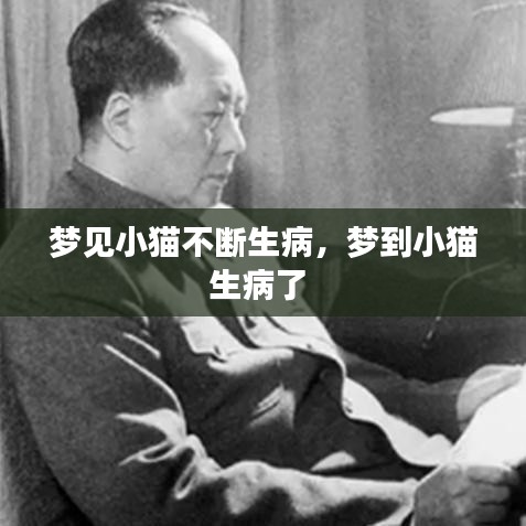 夢(mèng)見(jiàn)小貓不斷生病，夢(mèng)到小貓生病了 