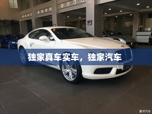 獨家真車實車，獨家汽車 
