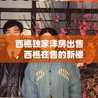 西樵獨家洋房出售，西樵在售的新樓盤 