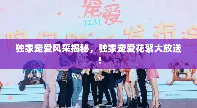 獨家寵愛風采揭秘，獨家寵愛花絮大放送！