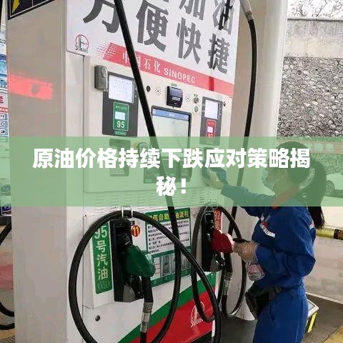 原油價格持續(xù)下跌應對策略揭秘！