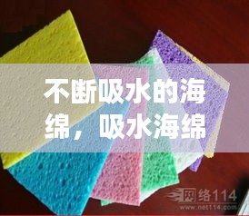 不斷吸水的海綿，吸水海綿有毒嗎 