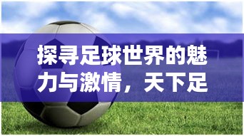 探尋足球世界的魅力與激情，天下足球?qū)ｎ}片全解析