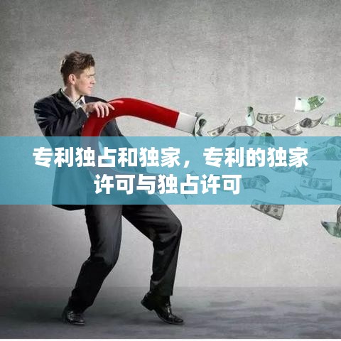 專利獨(dú)占和獨(dú)家，專利的獨(dú)家許可與獨(dú)占許可 