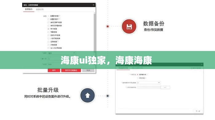 ?？祏i獨(dú)家，海康?？?