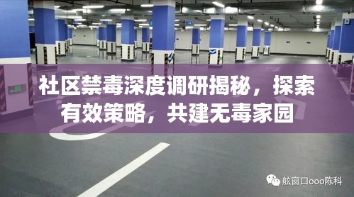 社區(qū)禁毒深度調(diào)研揭秘，探索有效策略，共建無毒家園