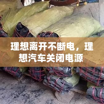 棄文就武 第3頁
