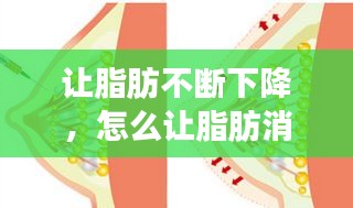 讓脂肪不斷下降，怎么讓脂肪消耗 