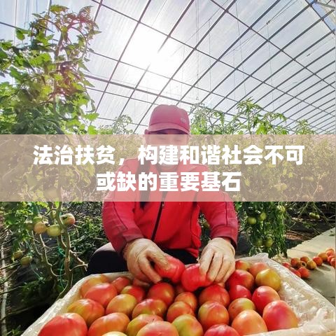 法治扶貧，構(gòu)建和諧社會不可或缺的重要基石