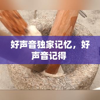 鳥驚魚駭 第3頁