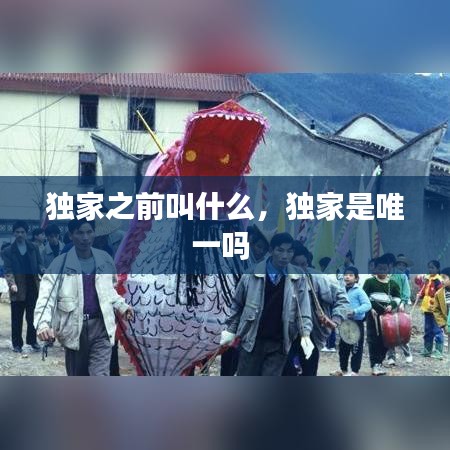 獨家之前叫什么，獨家是唯一嗎 