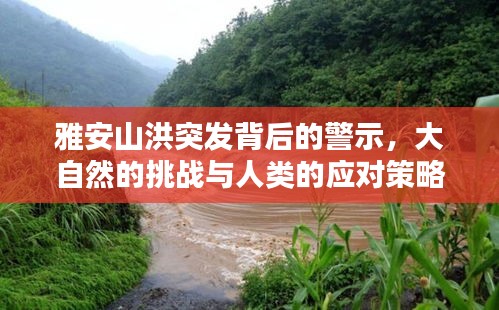 雅安山洪突發(fā)背后的警示，大自然的挑戰(zhàn)與人類的應(yīng)對(duì)策略