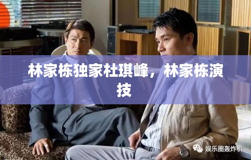 林家棟獨(dú)家杜琪峰，林家棟演技 