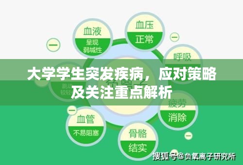 大學學生突發(fā)疾病，應(yīng)對策略及關(guān)注重點解析