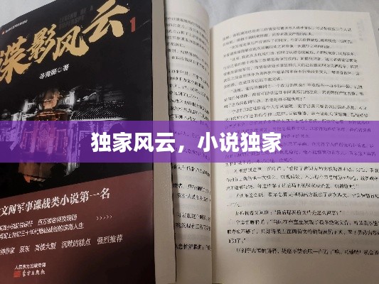 獨家風云，小說獨家 