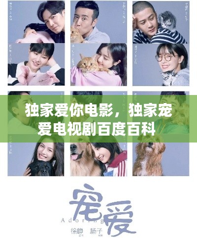 獨(dú)家愛你電影，獨(dú)家寵愛電視劇百度百科 