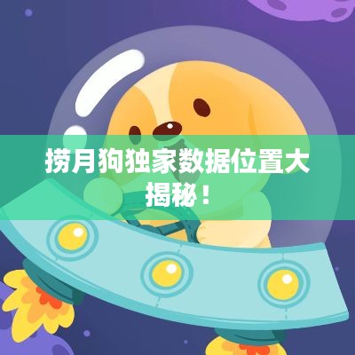 撈月狗獨(dú)家數(shù)據(jù)位置大揭秘！