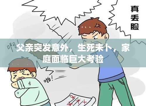 父親突發(fā)意外，生死未卜，家庭面臨巨大考驗