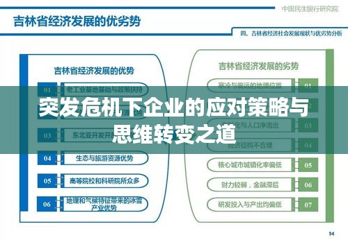 突發(fā)危機下企業(yè)的應對策略與思維轉變之道