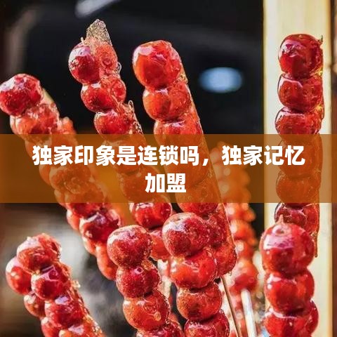 獨(dú)家印象是連鎖嗎，獨(dú)家記憶加盟 