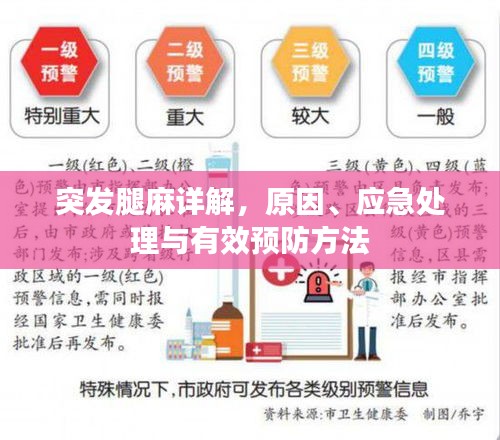 突發(fā)腿麻詳解，原因、應(yīng)急處理與有效預(yù)防方法