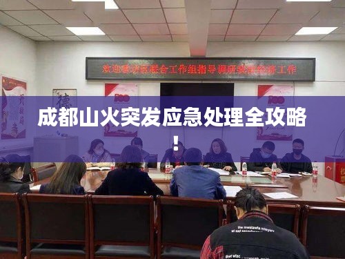 成都山火突發(fā)應(yīng)急處理全攻略！