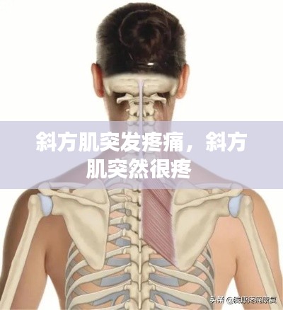 斜方肌突發(fā)疼痛，斜方肌突然很疼 
