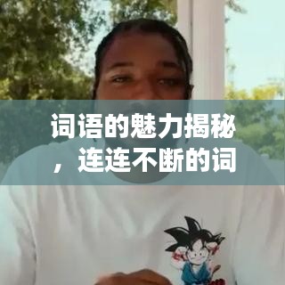 詞語的魅力揭秘，連連不斷的詞匯探討