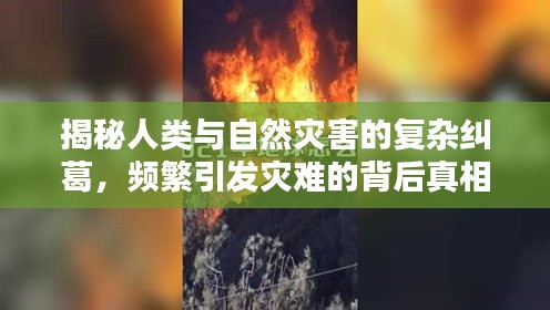 揭秘人類與自然災害的復雜糾葛，頻繁引發(fā)災難的背后真相