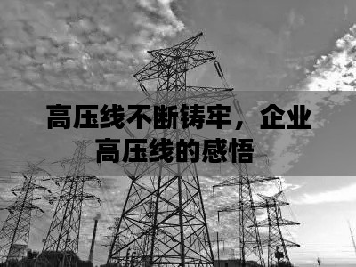 高壓線不斷鑄牢，企業(yè)高壓線的感悟 