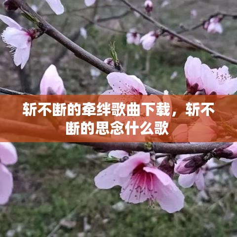 斬不斷的牽絆歌曲下載，斬不斷的思念什么歌 