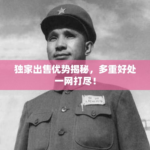 獨家出售優(yōu)勢揭秘，多重好處一網(wǎng)打盡！