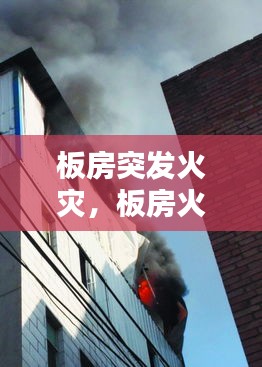 富貴有余 第3頁(yè)