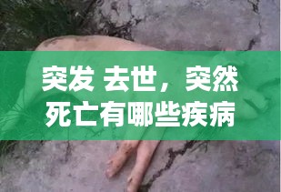 突發(fā) 去世，突然死亡有哪些疾病 